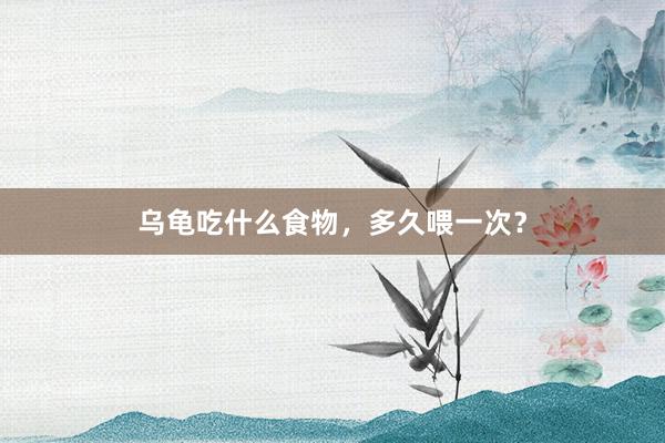 乌龟吃什么食物，多久喂一次？