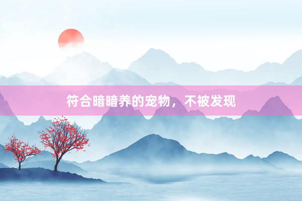符合暗暗养的宠物，不被发现