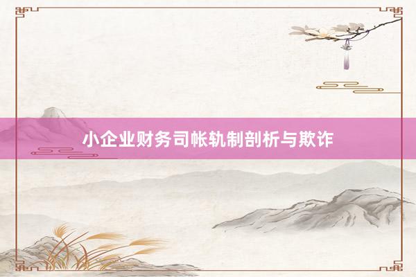 小企业财务司帐轨制剖析与欺诈